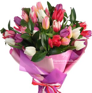 Bouquet of 35 tulips